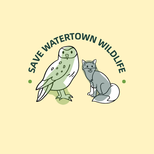 SAVE WATERTOWN WILDLIFE